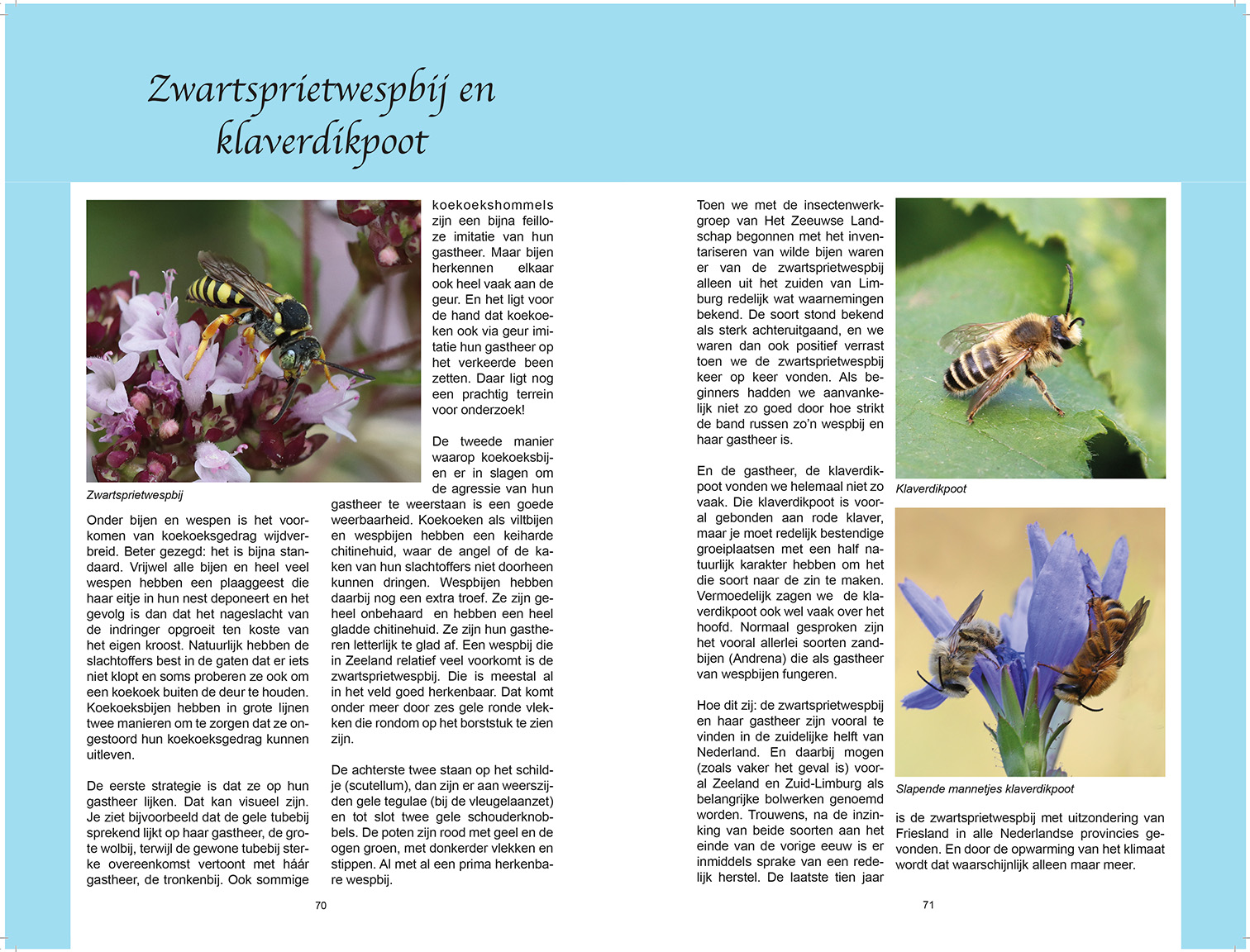 Zeeuws Insectenboek_dummy-2